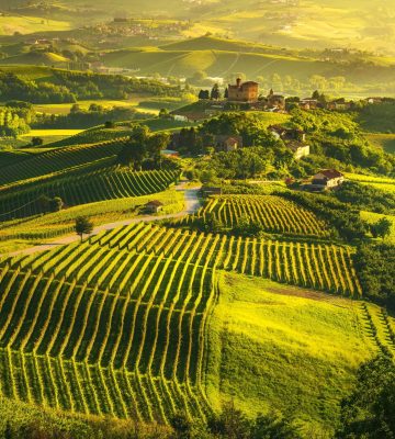 Langhe vineyards sunset panorama, Grinzane Covour, Piedmont, Ita