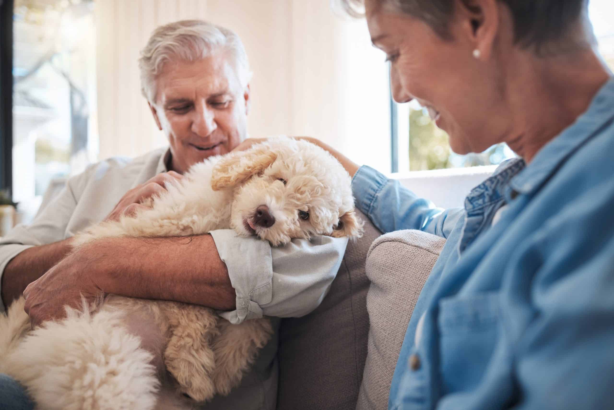 Retirement, dog and senior couple love, hug and care for puppy on sofa in a home for mental health and wellness. Elderly pension people on couch together with adopted animal pet friend for loyalty