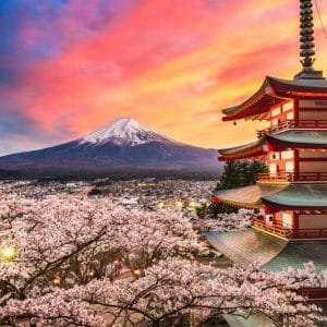 Giappone in fiore: Tokyo, Kyoto e la magia dei Sakura
