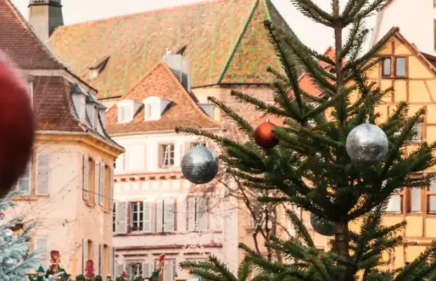 Head_GY_Colmar_1204884692_xehjgu