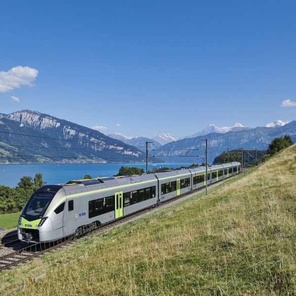 Berna e Trenino Verde delle Alpi