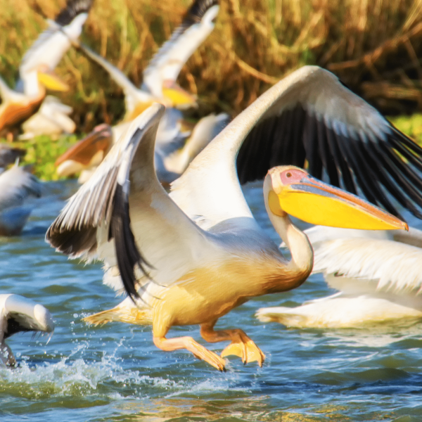 In Senegal con Carla Piazza - 4 luglio