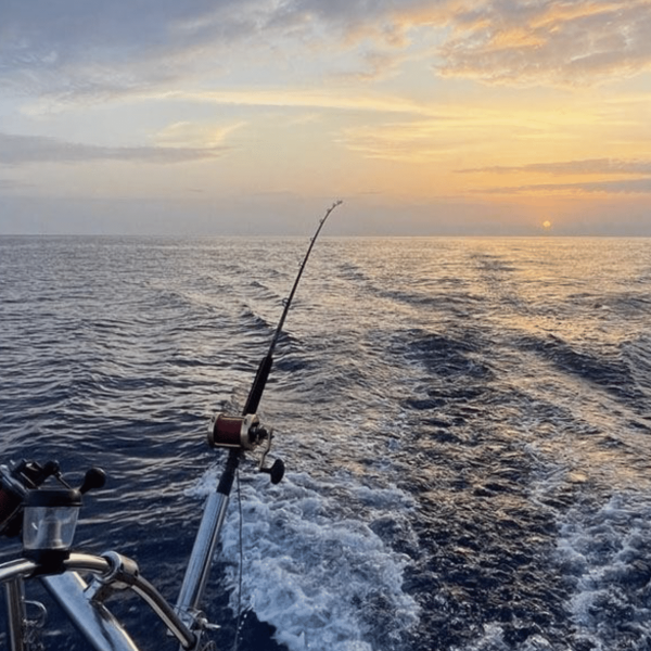 Crociera e Pesca d'altura in Catamarano a Ponza e Palmarola