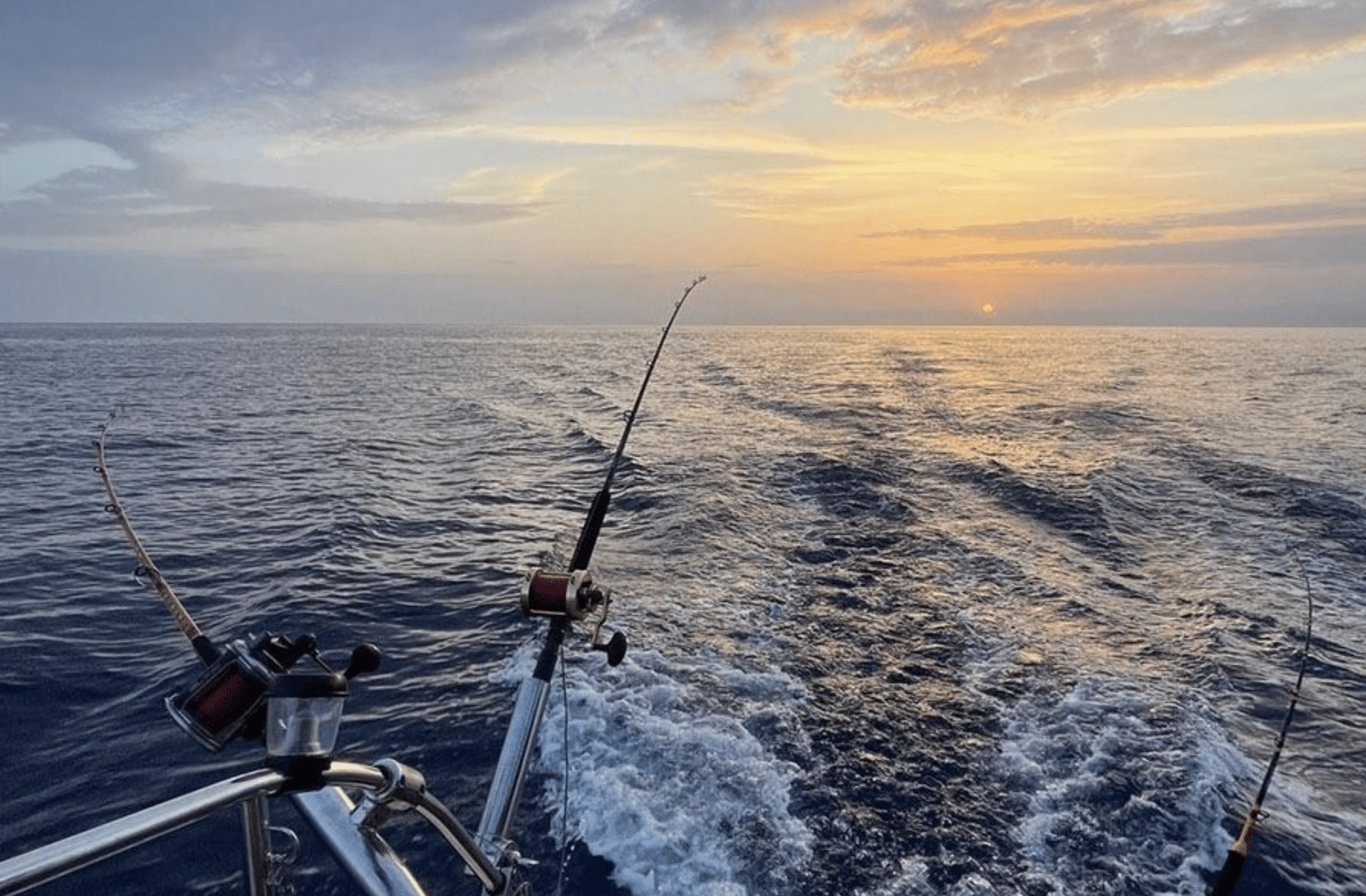 Crociera e Pesca d’altura in Catamarano a Ponza e Palmarola