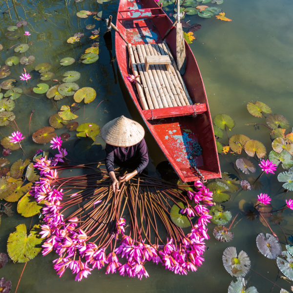 Vietnam: Il giardino del fiore dell’alba
