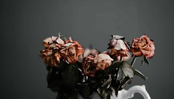 Frasi 2 novembre per la festa dei morti: le più belle da dedicare a chi non c'è più