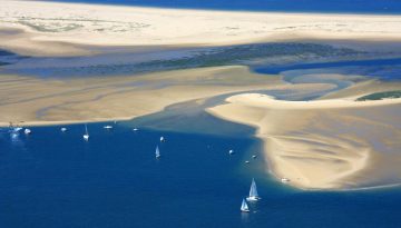 Banc d’Arguin: cosa vedere in uno dei parchi più importanti d’Africa