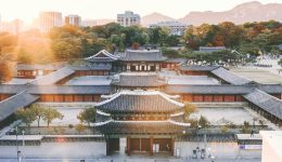 bundo-kim-p_D5pbQG5TE-unsplash