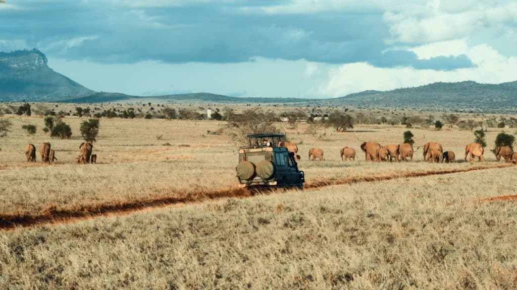 Dove andare in viaggio a novembre africaa