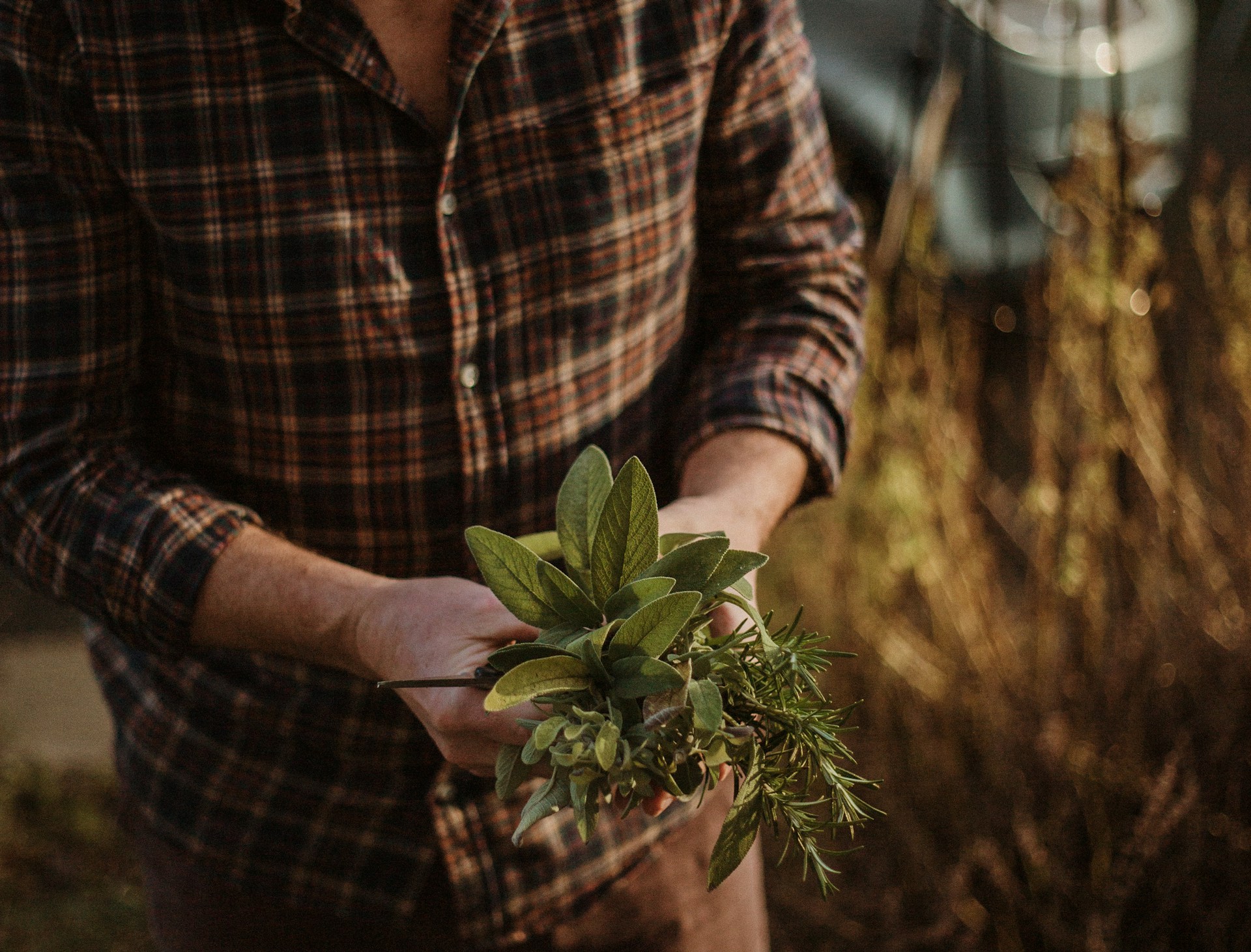 Come coltivare erbe aromatiche sul balcone