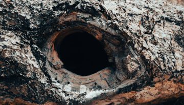 Tripofobia: cos'è la paura dei buchi e come trattarla