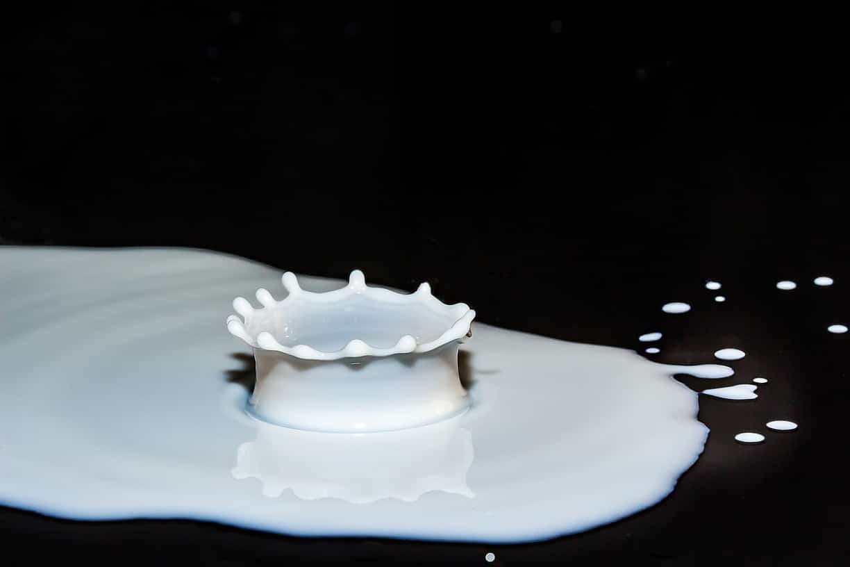 drops-of-milk-2062100_1280