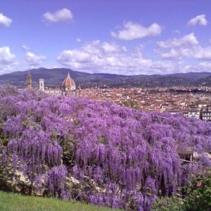 Firenze: L'oasi verde nel cuore della città