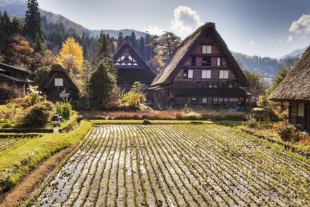 Traditional and Historical Japanese village Ogimachi - Shirakawa-go