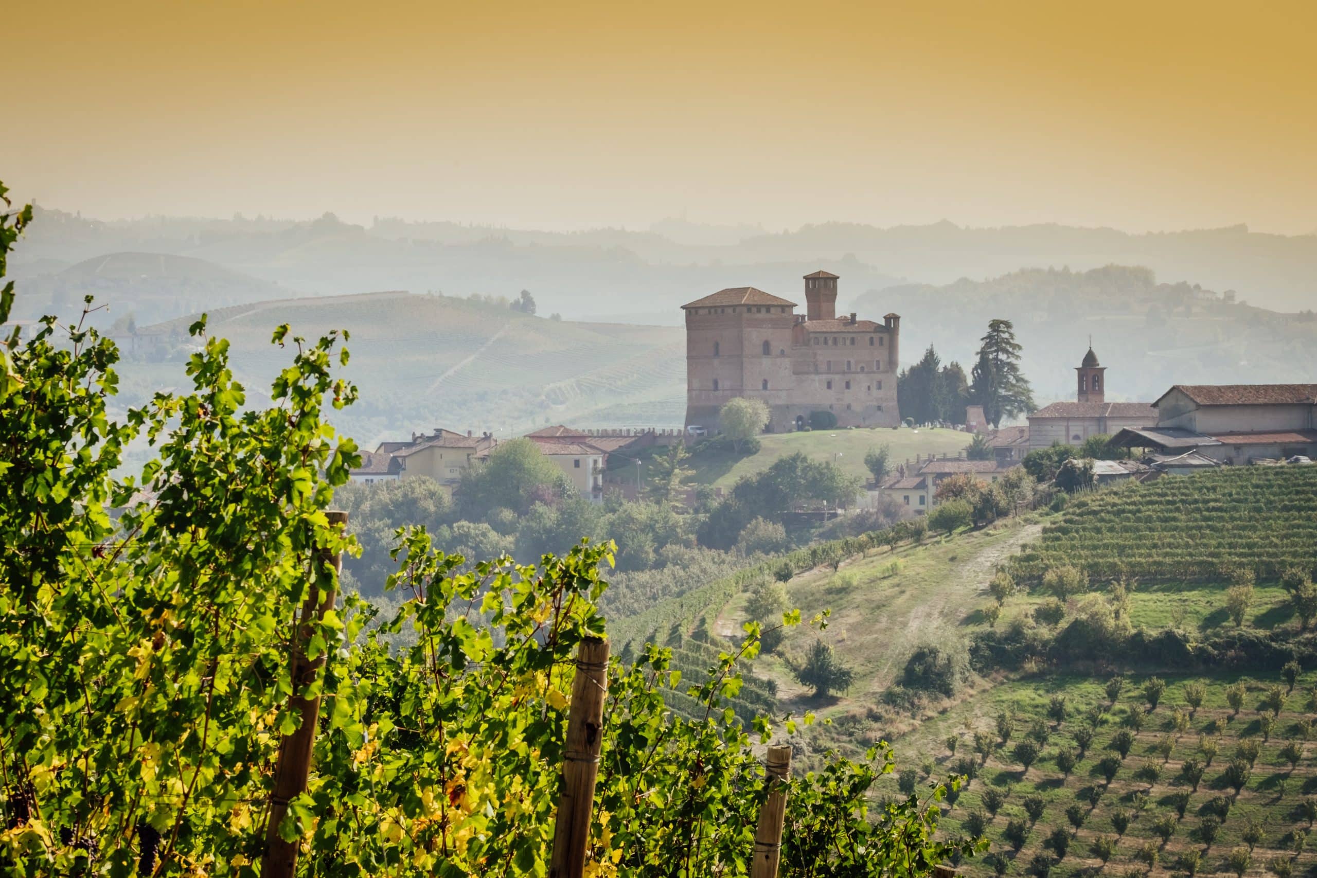 Panoramic view of the Langhe vineyards with Grinzane Cavour Cast