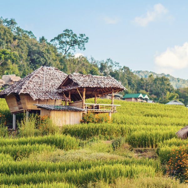 Thailandia classica