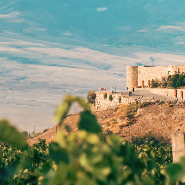 Armenia millenaria