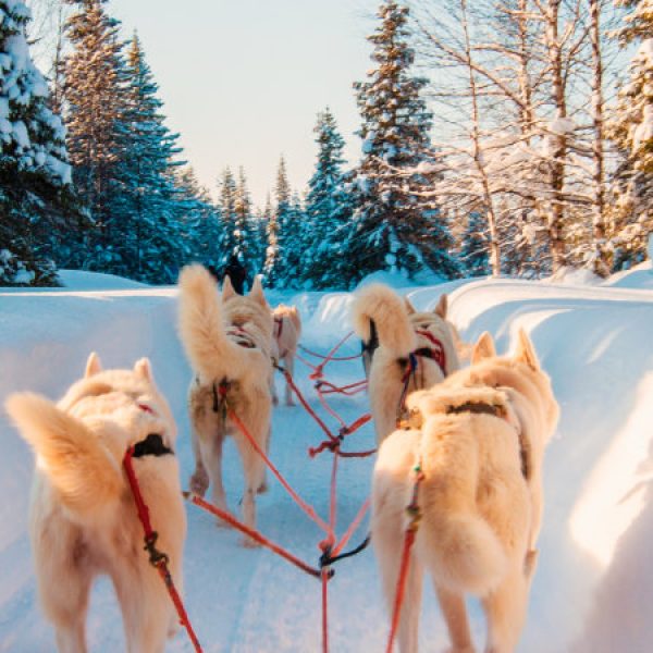 Rovaniemi, favola d'inverno