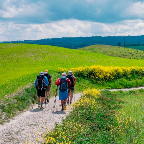Chianti e Val d'Orcia in e-bike