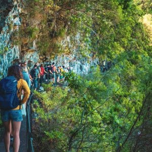 Madeira e trekking