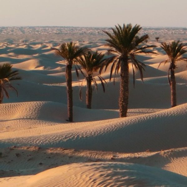 Tunisia archeologica e deserto