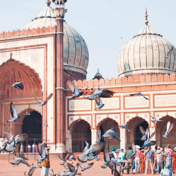 Il meglio di India e Nepal