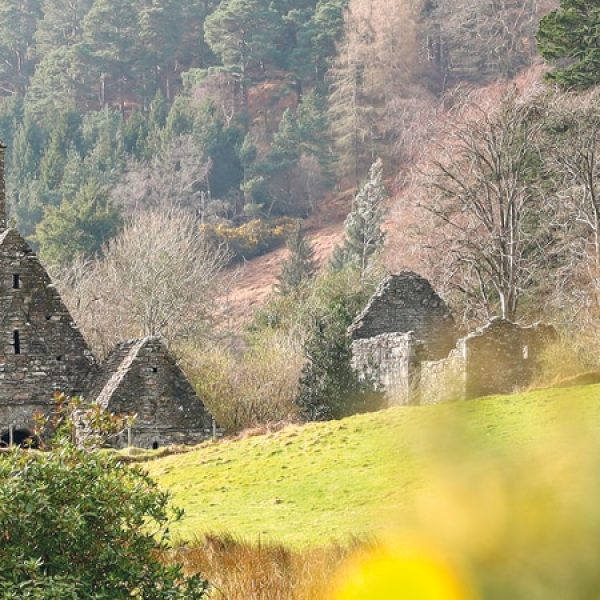 Dublino e Wicklow, il giardino d'Irlanda