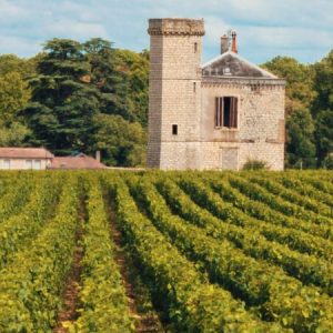 Borgogna e la strada dei vini