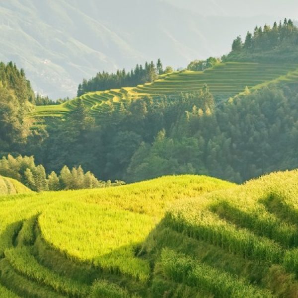 Cina: sublime incanto