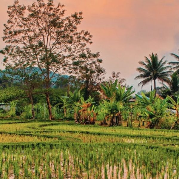 Thailandia e Laos