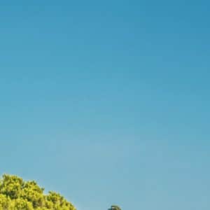 La Grecia di Alessandro Magno
