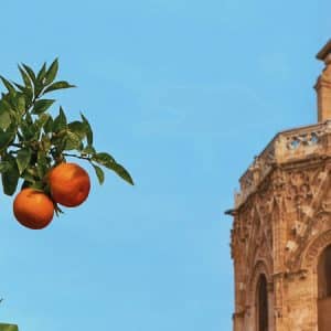 Valencia, cuore del Mediterraneo