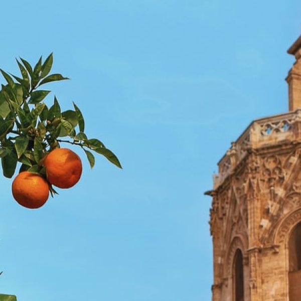 Valencia, cuore del Mediterraneo