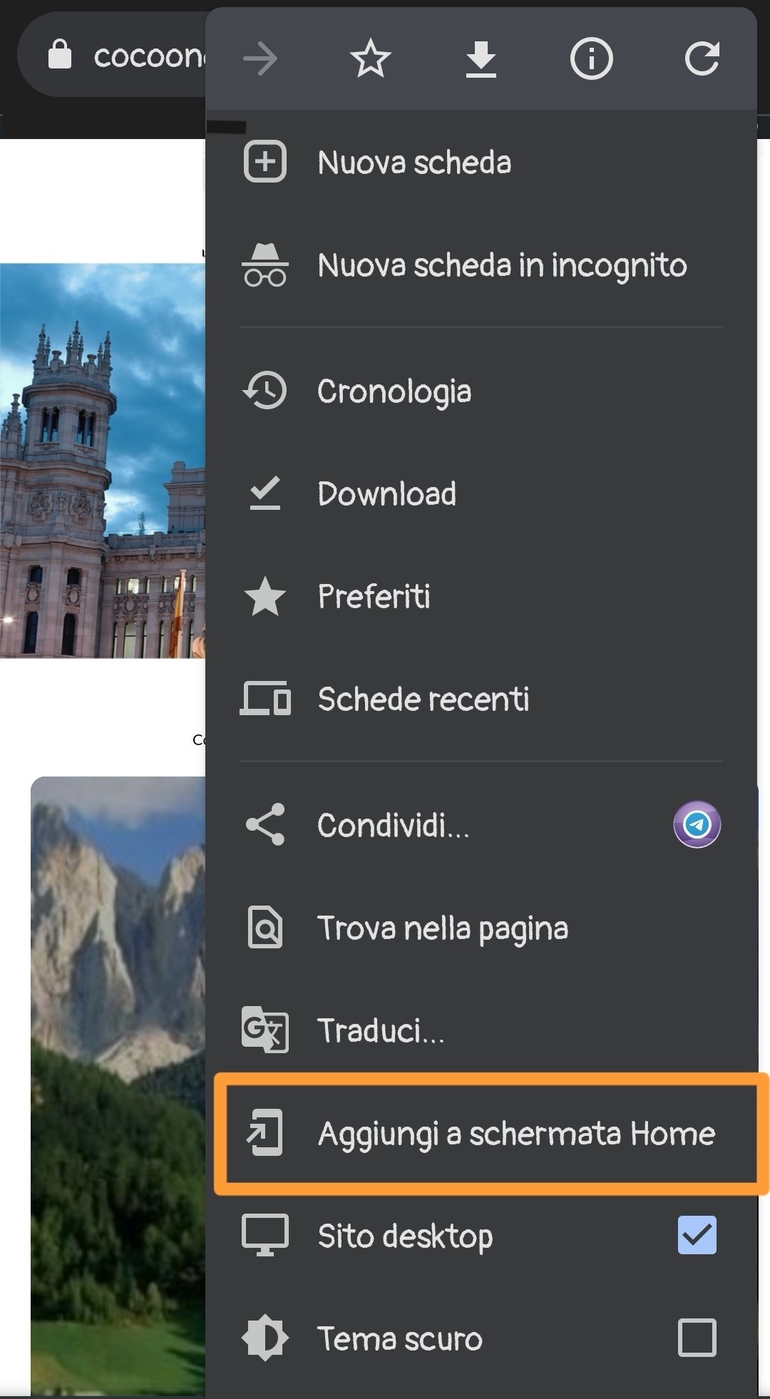 icona chrome 2