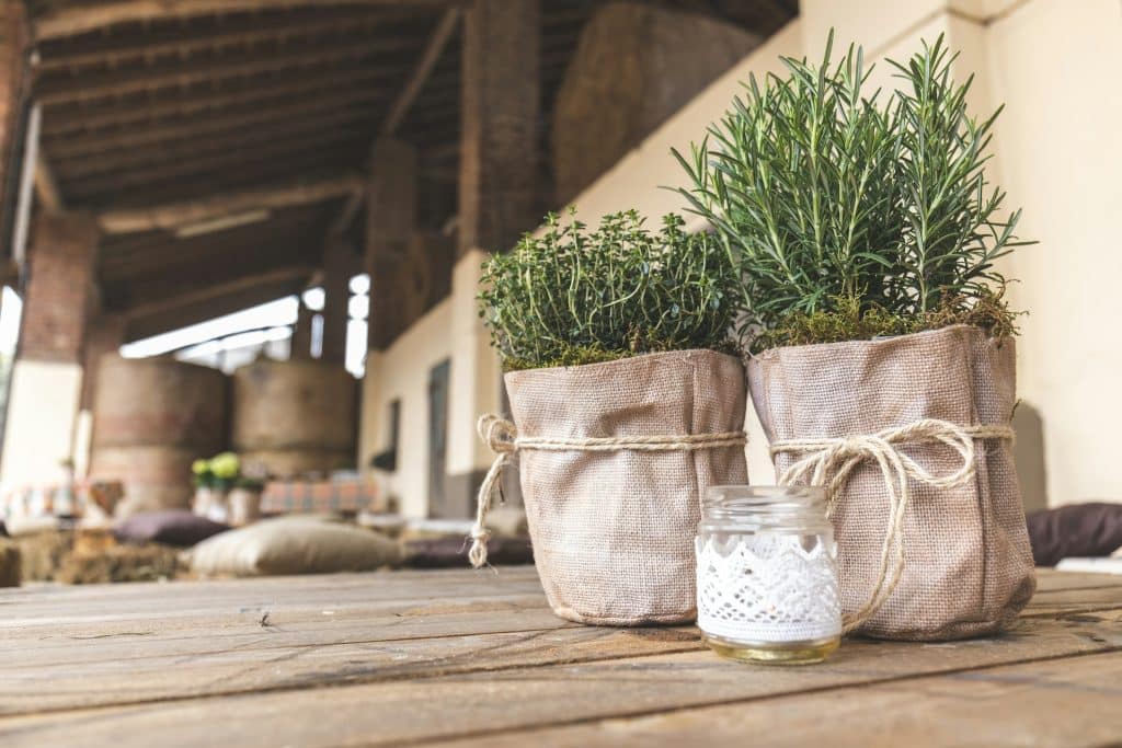 Come coltivare erbe aromatiche sul balcone