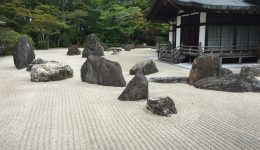 Creare un giardino zen in casa a 55 anni: per meditare e rilassarti in totale tranquillità