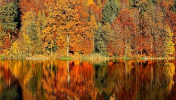 ricardo-gomez-angel-4hhP-Ud4e84-unsplash