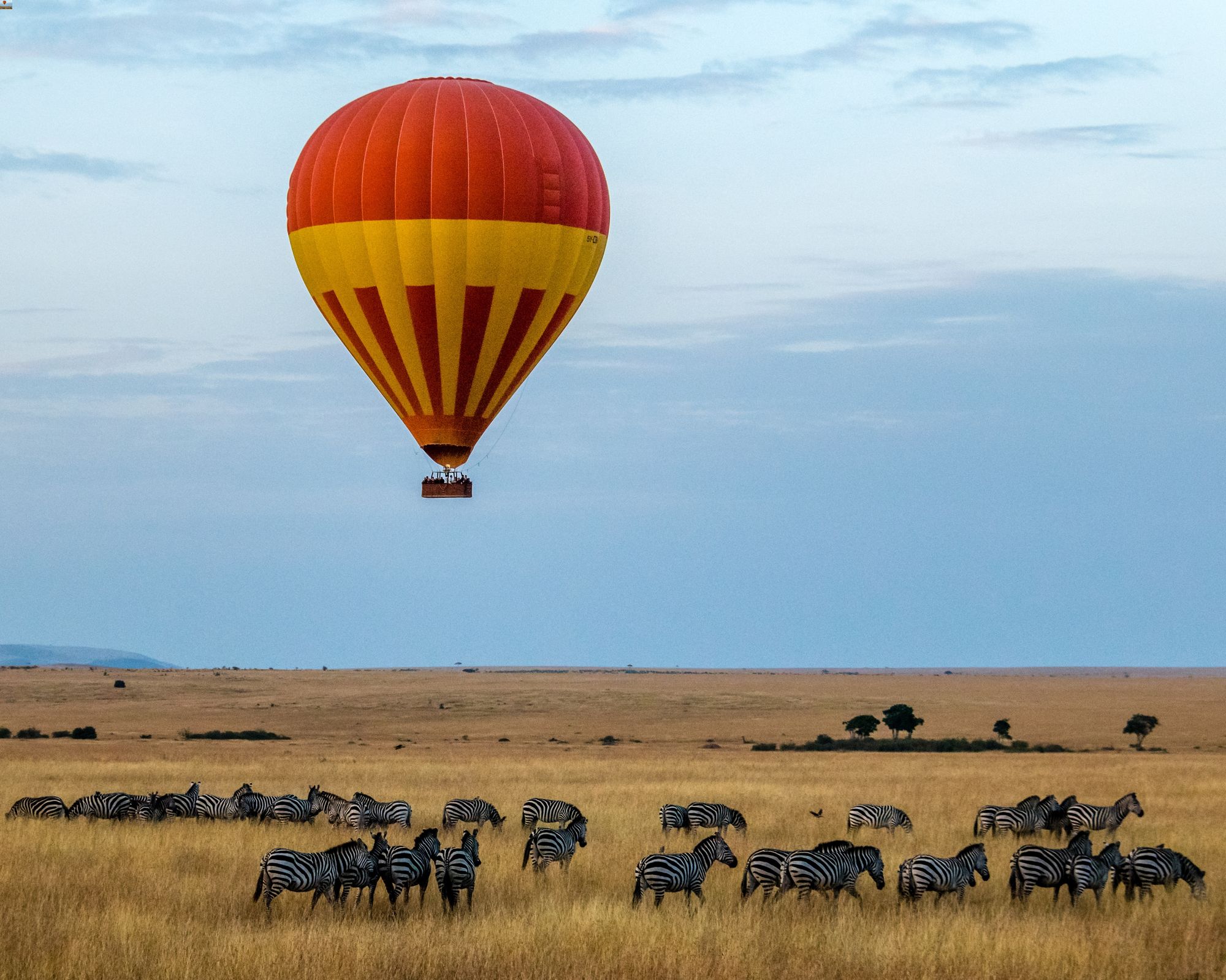 Dove andare in viaggio a novembre safari africa