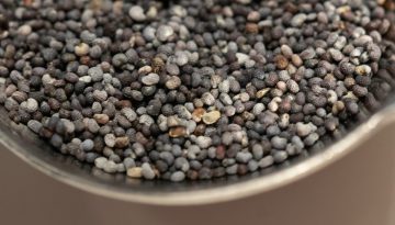 Semi di Chia: benefici e come usarli in cucina
