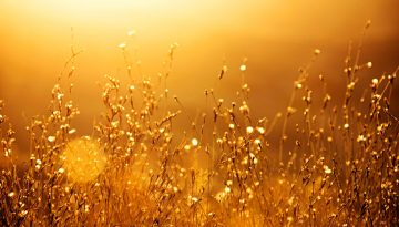 Colpo di calore: sintomi, rischi e consigli per prevenirlo. Scopri come proteggere bambini, anziani e persone fragili durante le giornate più calde dell’estate